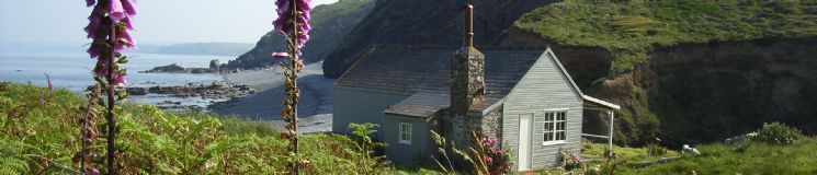 Unique Home Stays